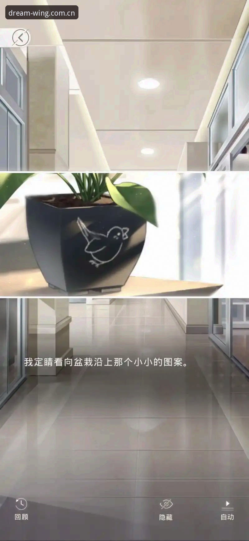 小鸟体育最新版本对比 深度解析小鸟体育最新版本对比:v2.3.0升级亮点与使用全攻略