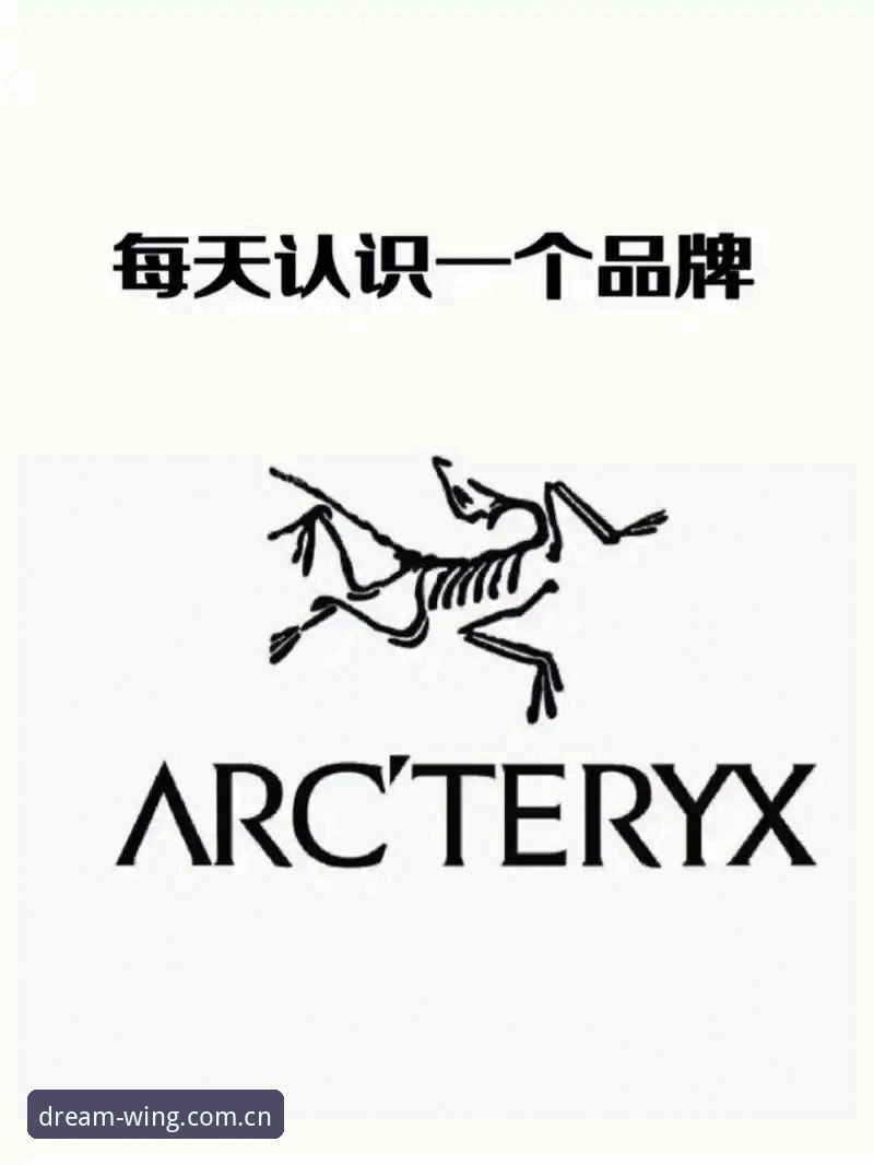 揭秘最新小鸟体育平台的真相——这些隐藏功能你不知道的事