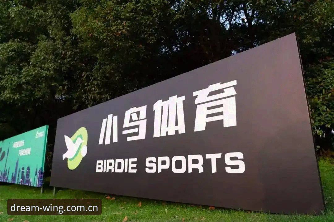 3个关键步骤教你判断小鸟体育官网入口哪个好，实测数据全公开