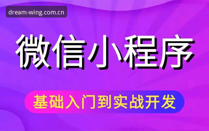 资深用户分享：小鸟体育登录推荐全攻略，从入门到精通的实战心得
