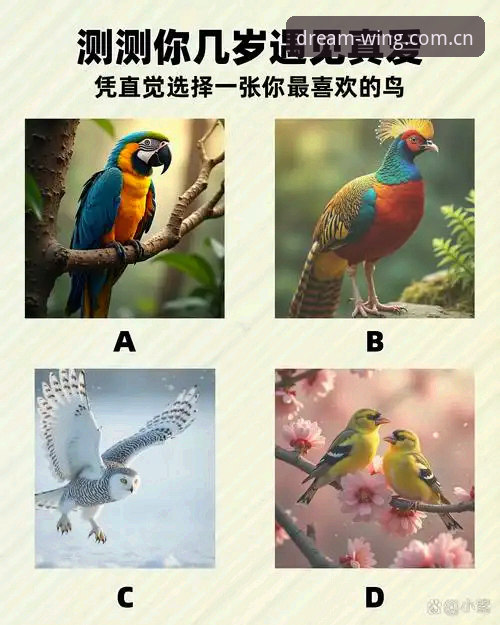 资深用户实测：小鸟体育入口对比体验分享，选择正确入口的关键